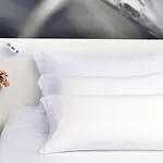 毕尔巴鄂别墅nh系列酒店 毕尔巴鄂